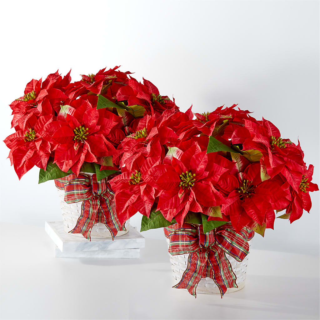 Happiest Holidays Poinsettia Bundle – CANDY'S CREATIONS, Hermitage MO