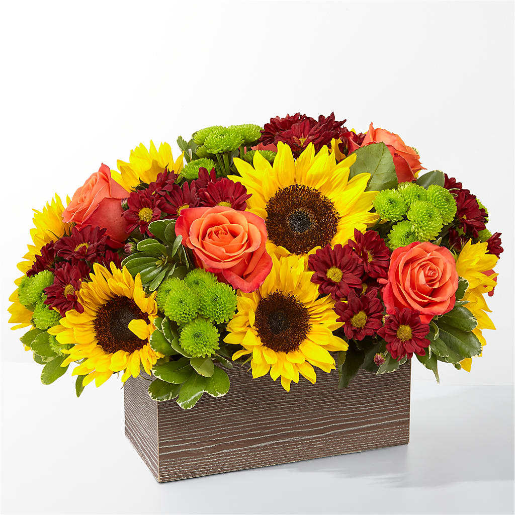 Happy Harvest Garden – CANDY'S CREATIONS, Hermitage MO