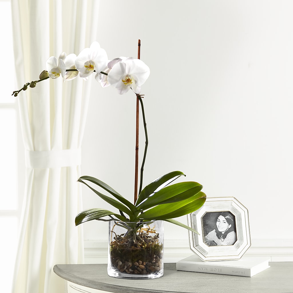White Orchid Planter – CANDY'S CREATIONS, Hermitage MO
