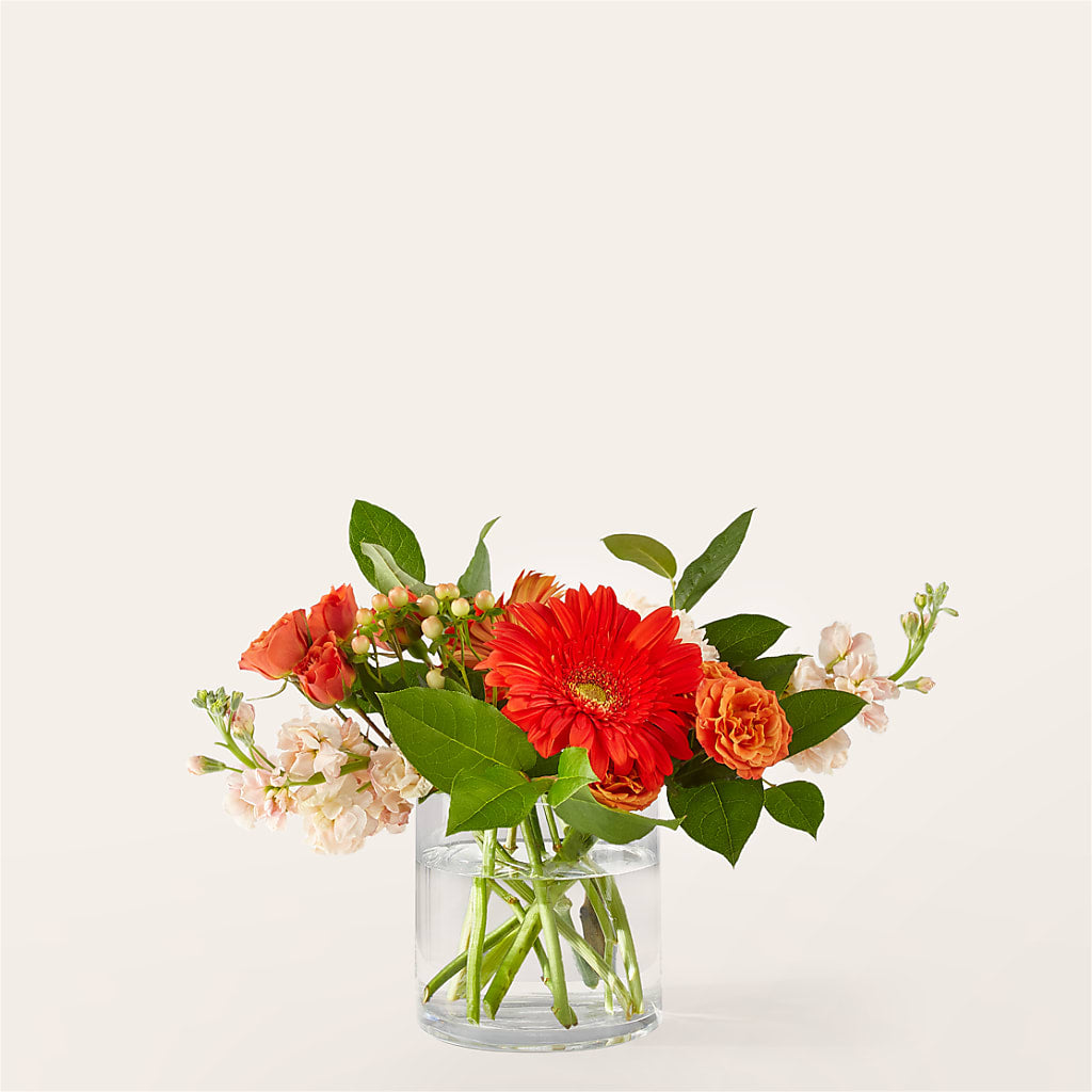 Paloma Please Bouquet – CANDY'S CREATIONS, Hermitage MO