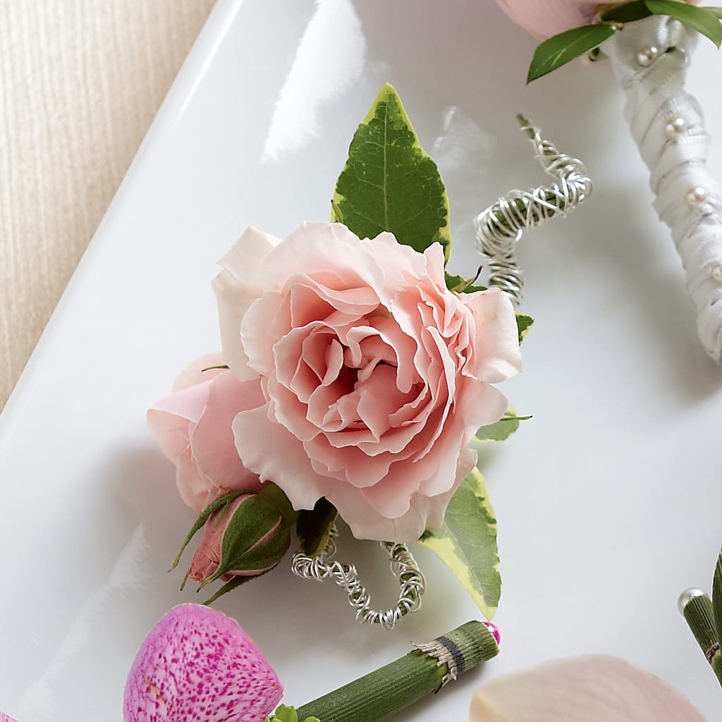 Pink Spray Rose Boutonniere – CANDY'S CREATIONS, Hermitage MO