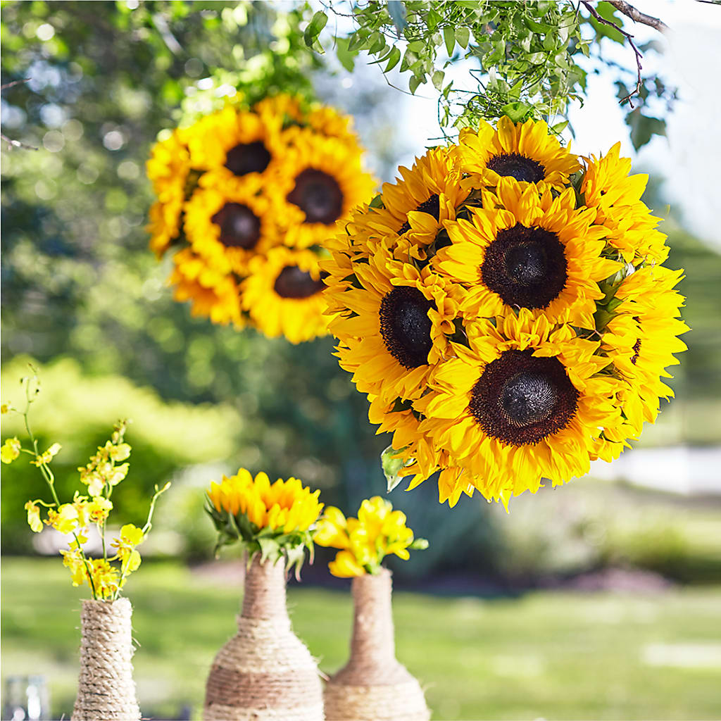 Sublime Garden Hanging Arrangement – CANDY'S CREATIONS, Hermitage MO