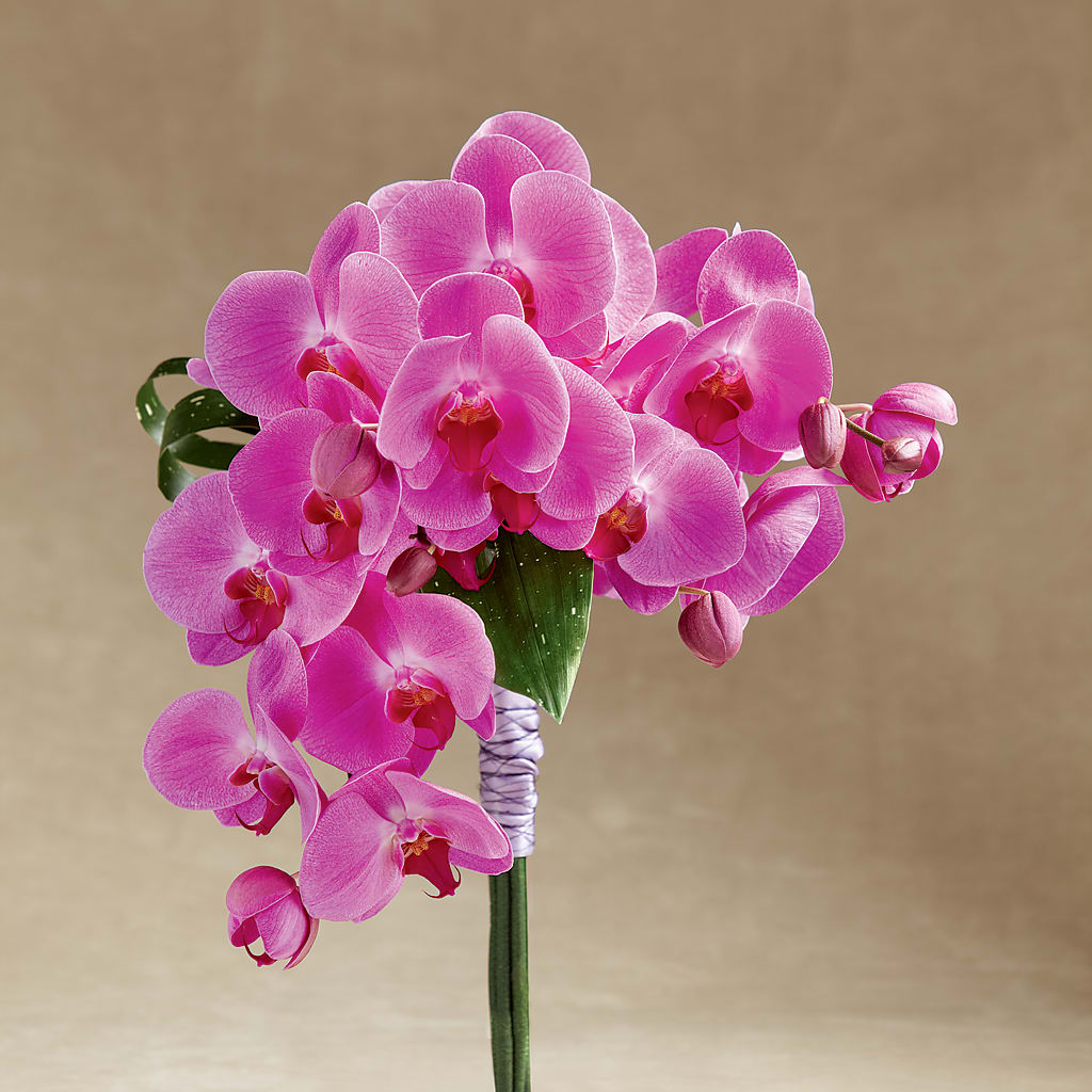 Glorious Bouquet – CANDY'S CREATIONS, Hermitage MO