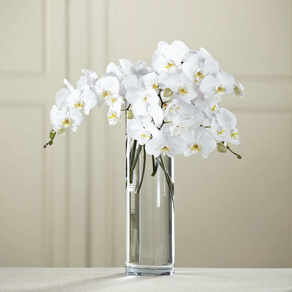 White Phalaenopsis Bouquet – CANDY'S CREATIONS, Hermitage MO