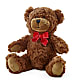 Adorable Plush Bear – CANDY'S CREATIONS, Hermitage MO