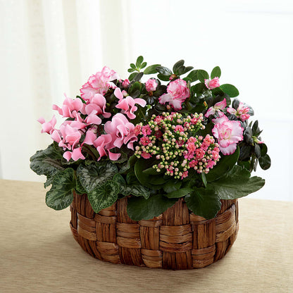 Pink Assortment – CANDY'S CREATIONS, Hermitage MO