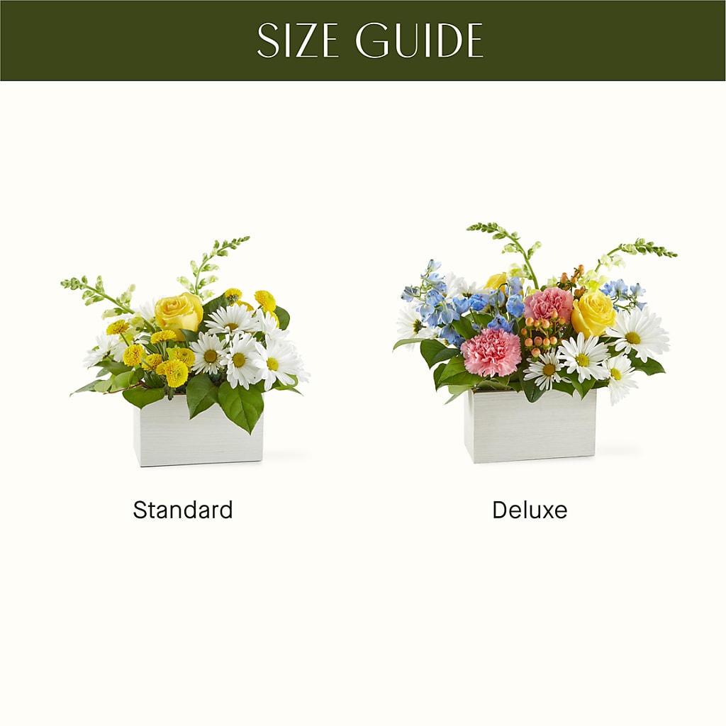 Sun Salutation Box Bouquet – CANDY'S CREATIONS, Hermitage MO