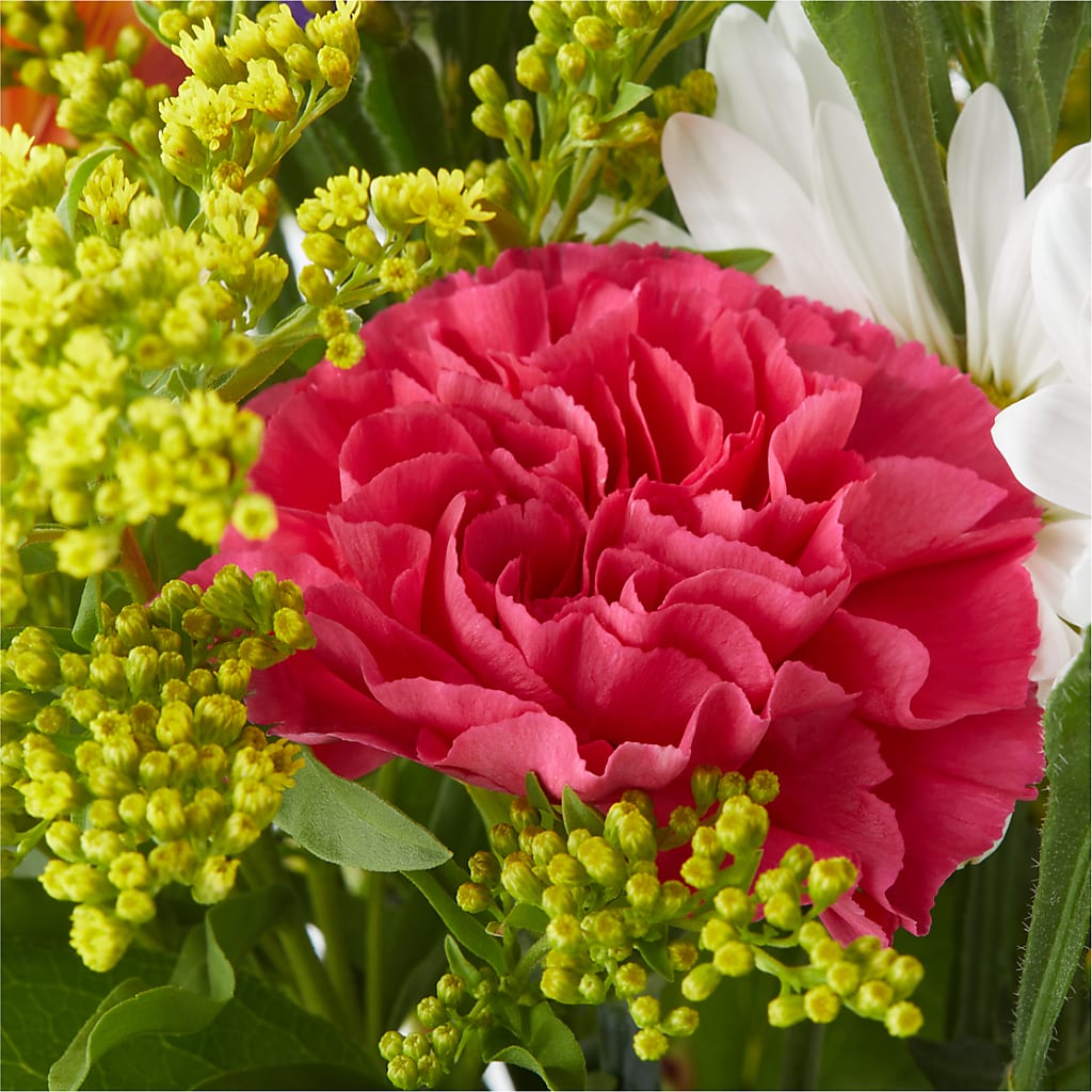 Oopsie Daisy Bouquet – CANDY'S CREATIONS, Hermitage MO