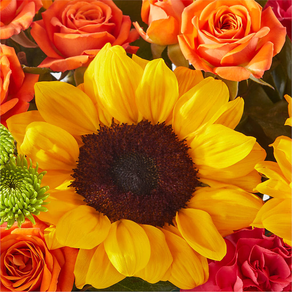 Sun-drenched Blooms Box Bouquet – CANDY'S CREATIONS, Hermitage MO