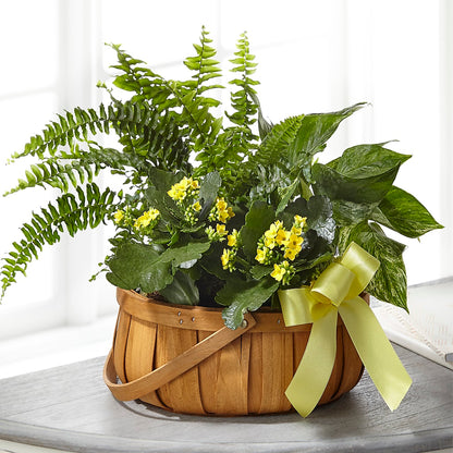 Always Dear Dishgarden – CANDY'S CREATIONS, Hermitage MO