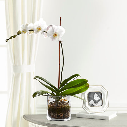 White Orchid Planter – CANDY'S CREATIONS, Hermitage MO