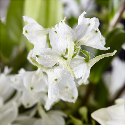Classic Ivory – A Florist Original – CANDY'S CREATIONS, Hermitage MO