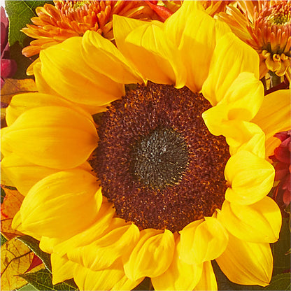 Sunny Side Bouquet – CANDY'S CREATIONS, Hermitage MO
