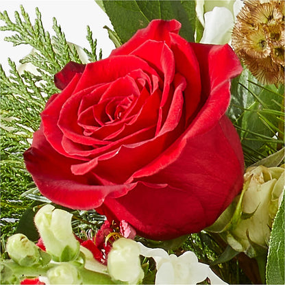 Deck the Halls Bouquet – CANDY'S CREATIONS, Hermitage MO