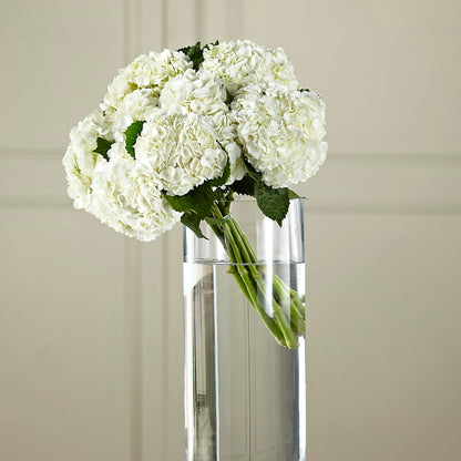 White Hydrangea Hand-Tied Bouquet – CANDY'S CREATIONS, Hermitage MO