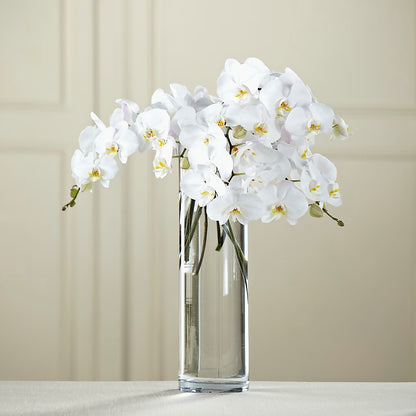 White Phalaenopsis Bouquet – CANDY'S CREATIONS, Hermitage MO